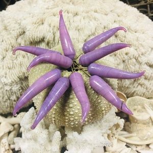 15 Pink Purple Chili Peppers Glass Charms